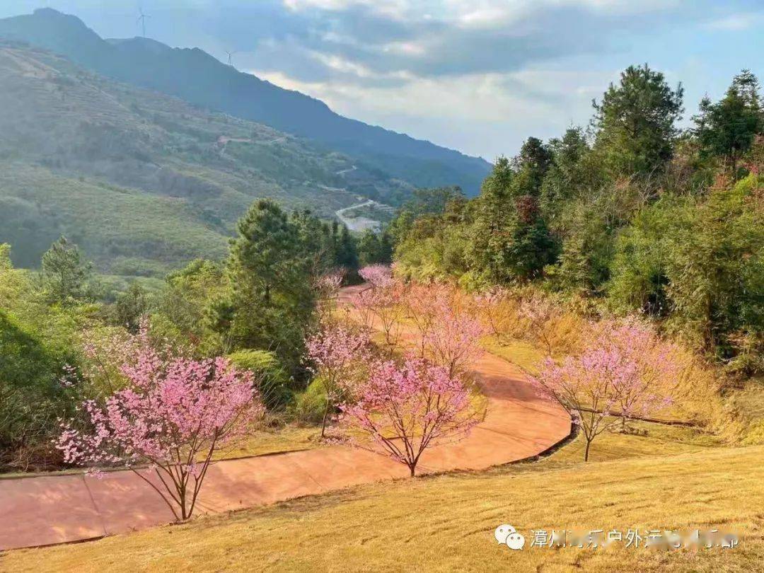 春节初三自驾南靖紫云山庄赏花一日游