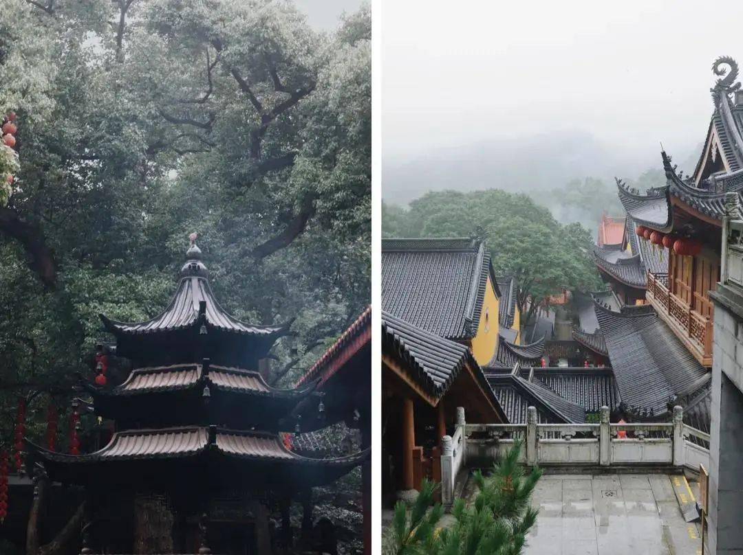 千万不要春节来杭州,因为._法喜寺