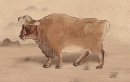 古玉界:牛年话牛—牛转乾坤