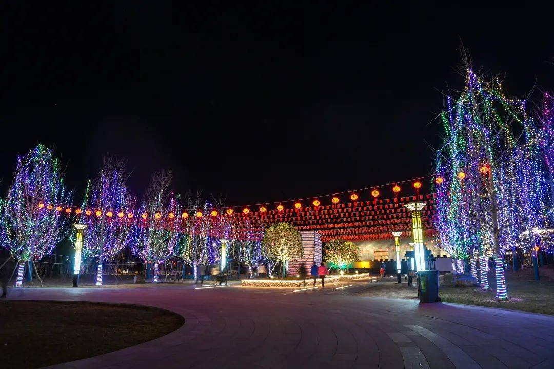 美爆了济源火树银花不夜天灯红景绿贺牛年