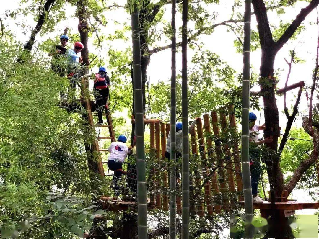 自驾门票丨59.9元抢九龙湖精灵谷新春套票,体验超长900米丛林穿越!