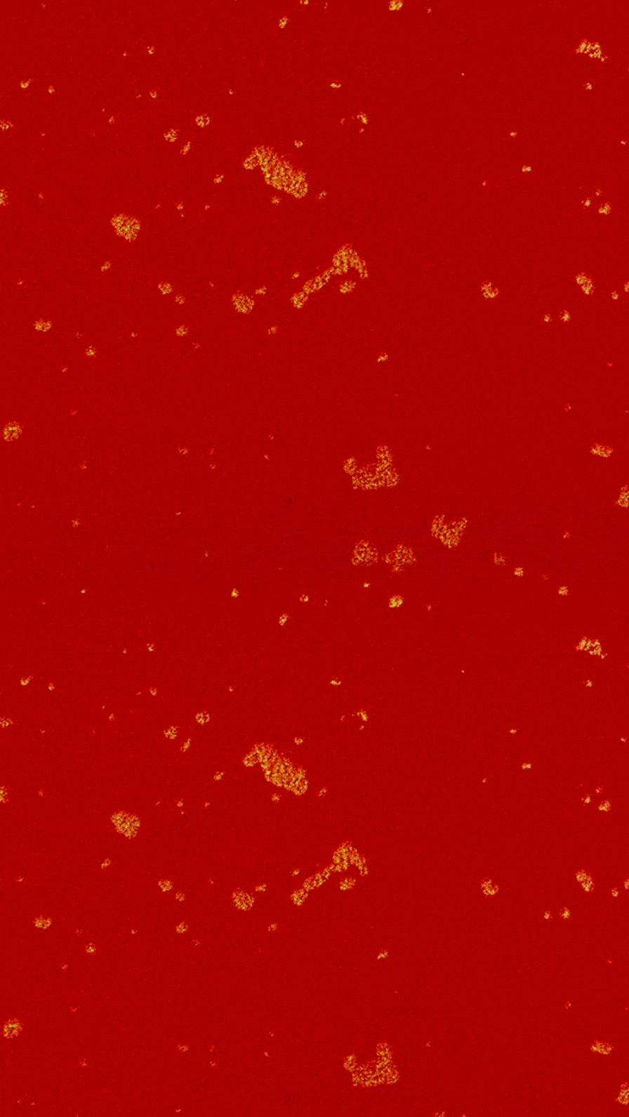 896_1590 竖版 竖屏