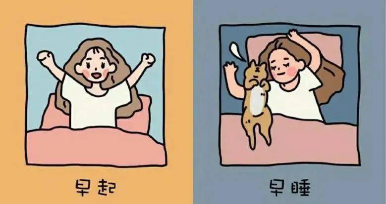 1.坚持早睡早起