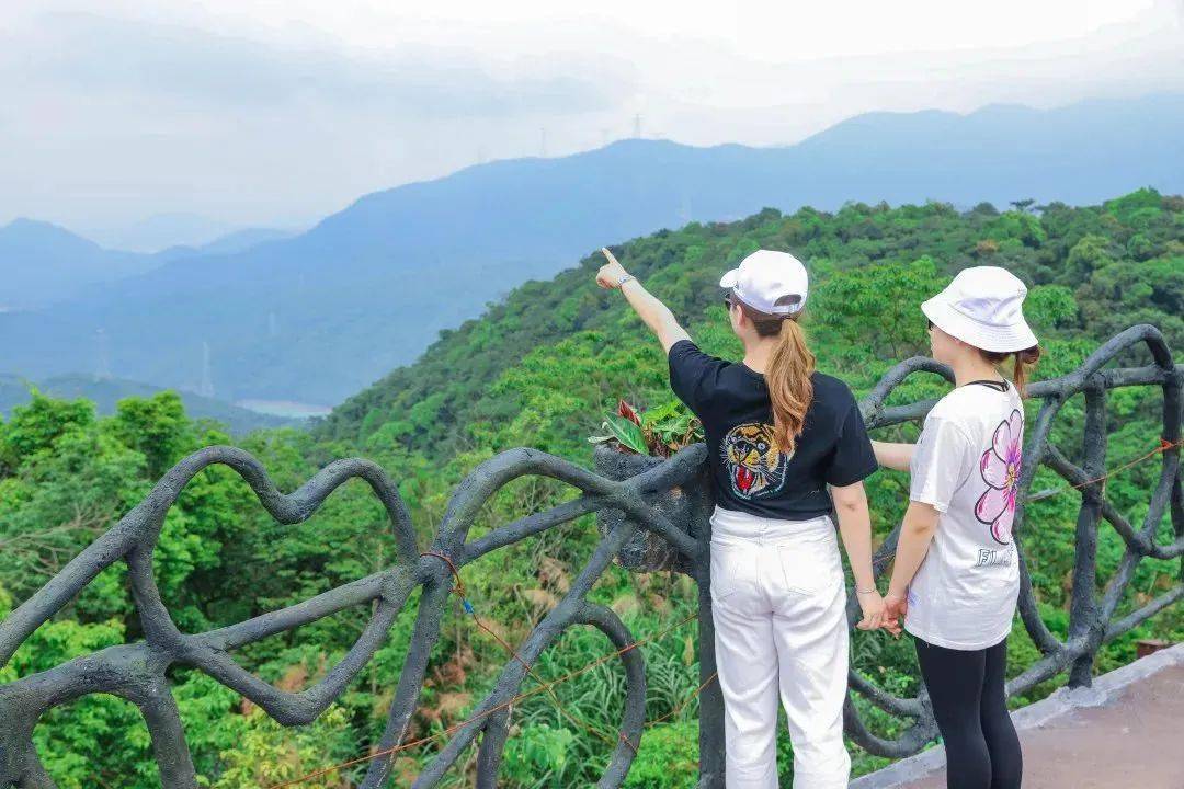 地址   樟木头镇观音山国家森林公园