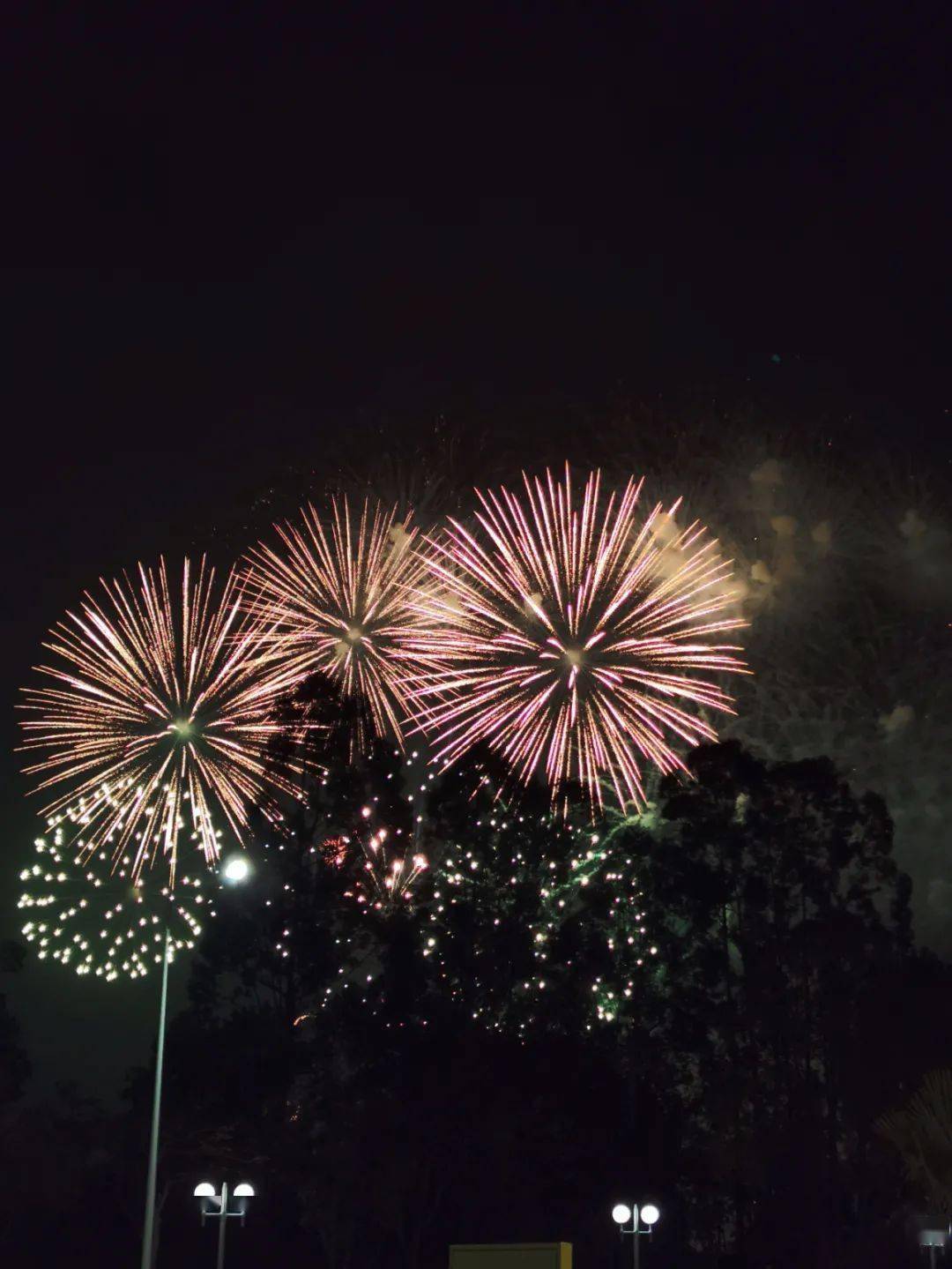 多图 动图 视频!_新年烟花