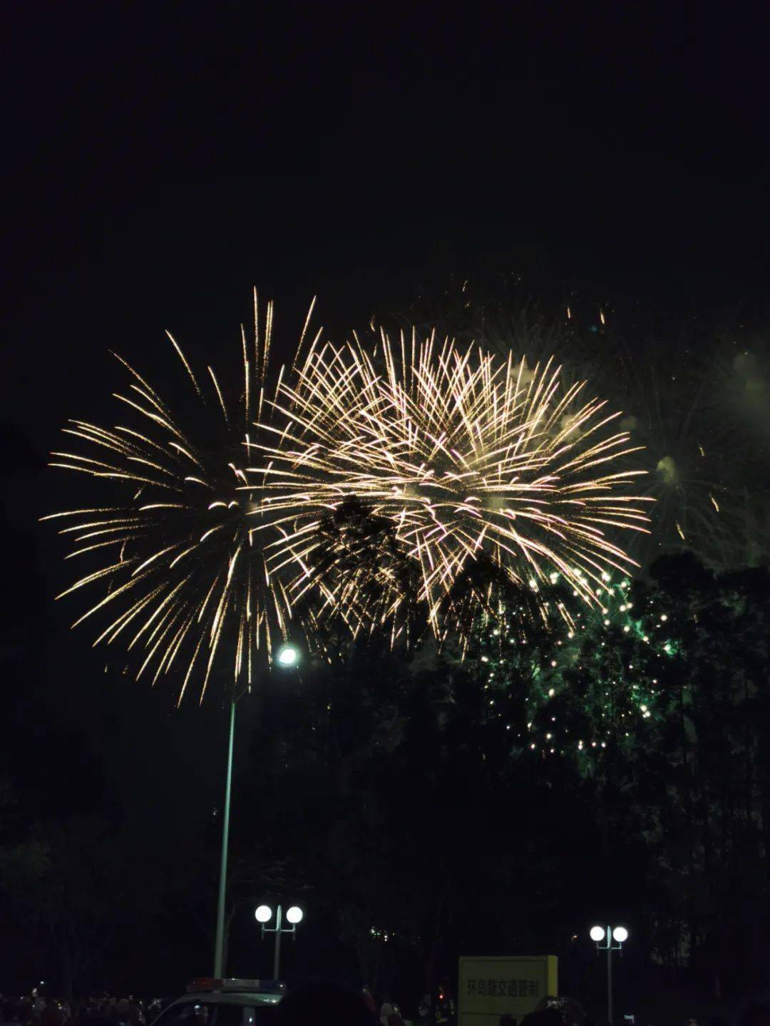 多图 动图 视频!_新年烟花