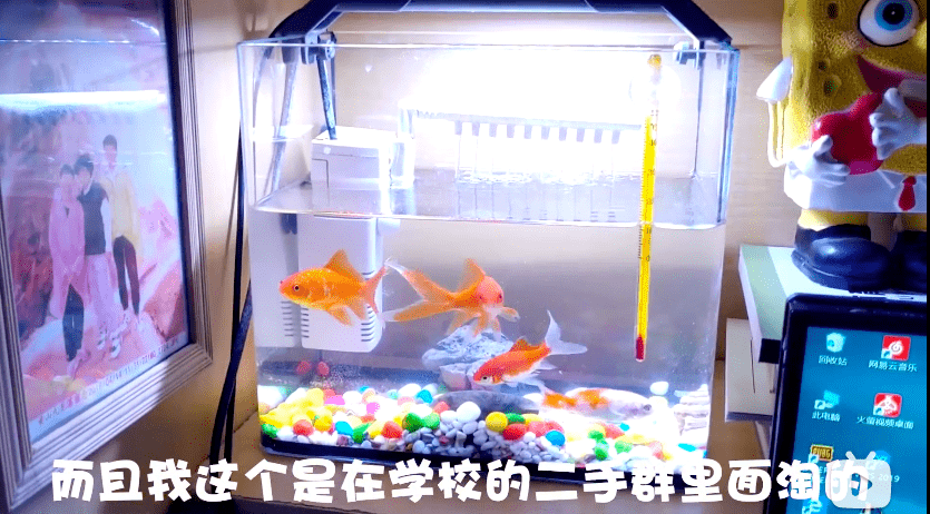 为什么男人一过18就争做养鱼的"海王"?