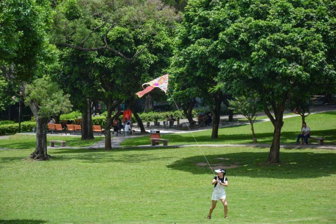 深圳儿童公园大合集!春节假期有地方遛娃啦!
