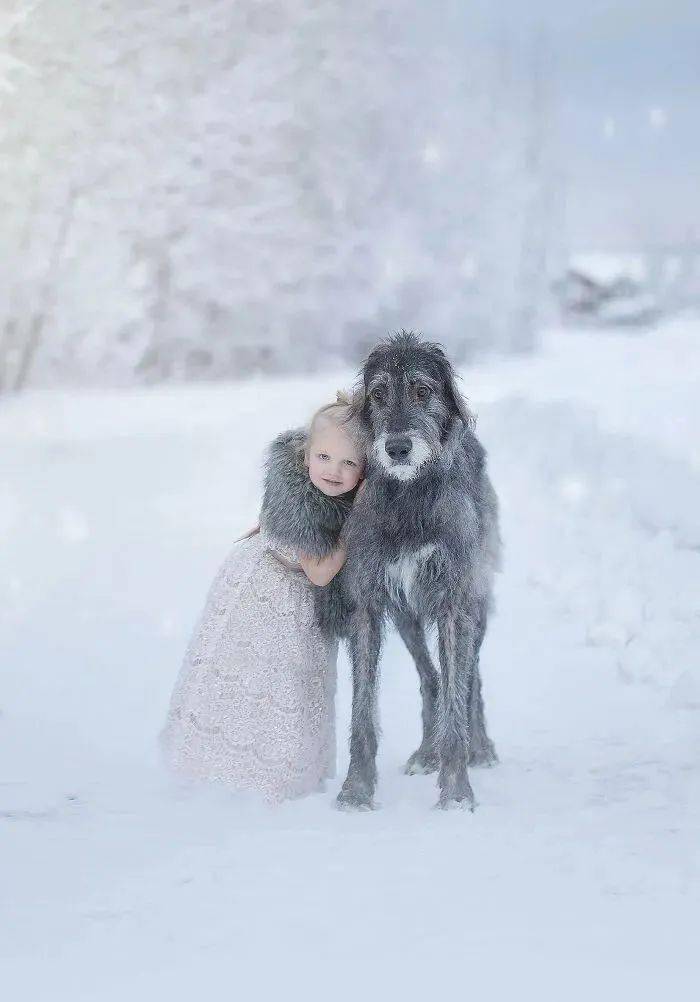 人类幼崽和小狗凑在一起,简直是世界上最可爱的画面了