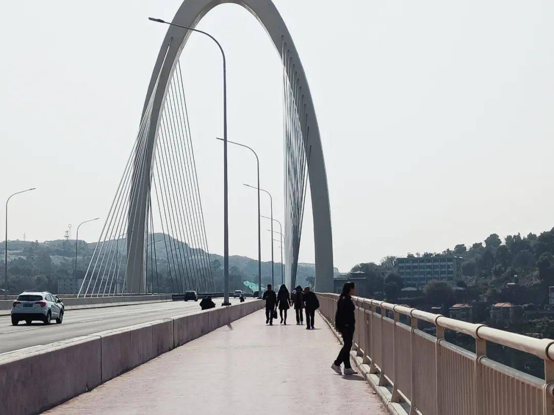 外观新颖,气势恢宏!韶州大桥成为市民网红打卡点