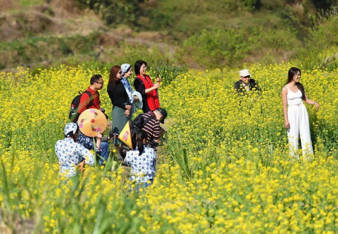 我们的节日春节春游云浮美丽乡村走进花海世界