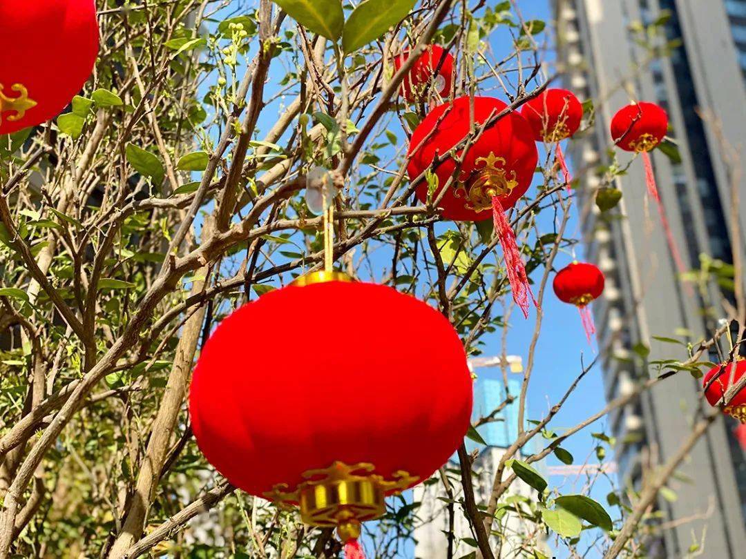 龙光社区新年踏春风景这边独好