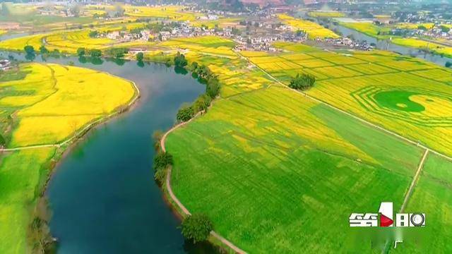 打卡巴渝美景:潼南陈抟故里·崇龛花海