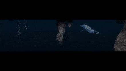 440_250