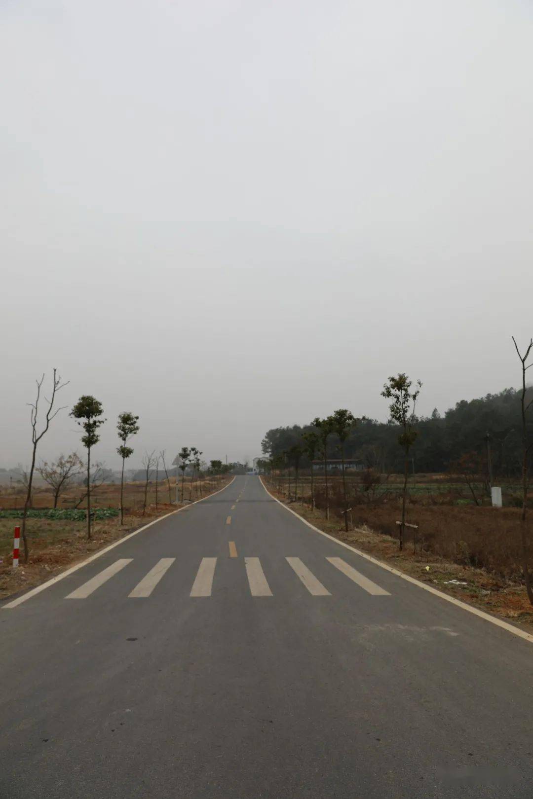 "为避开高湖路致富路段的交通拥堵,我们对途经白莲山庄到高湖路的原有
