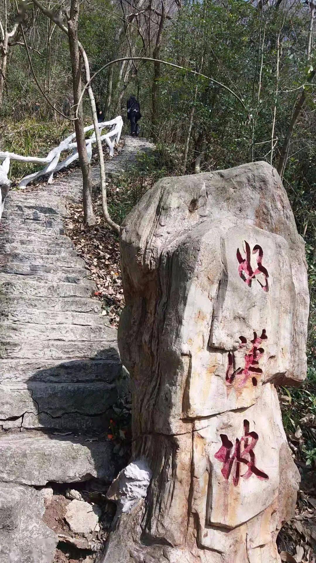 湖北京山茶花源风景区