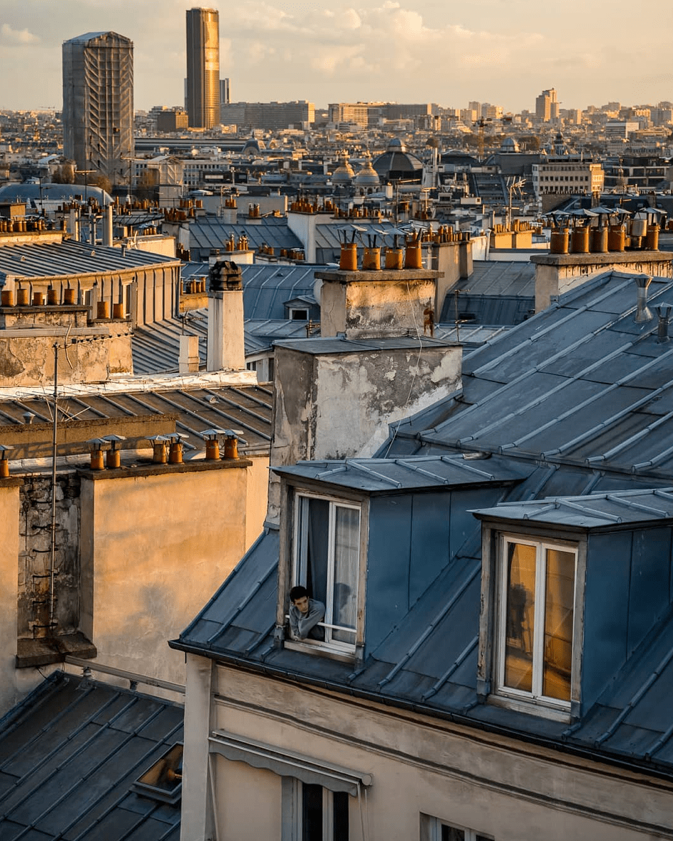 而这由镀锌屋面和竖立著的一管管烟囱构成的屋顶, 是唯有在巴黎才能
