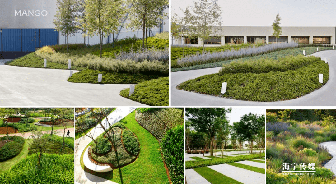 厂房周边通过植物配置,提升整体品质,形成" 花园厂区"的视觉效果.