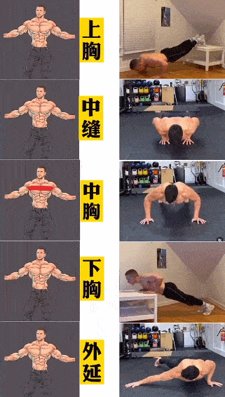 请看下图: 1,时间未到 胸肌为大肌肉群,采用的训练动作多为多关节