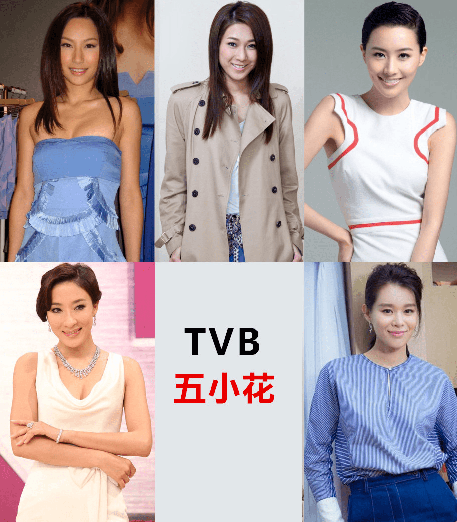 她曾与胡杏儿,杨怡,徐子珊以及钟嘉欣并称为tvb五小花.