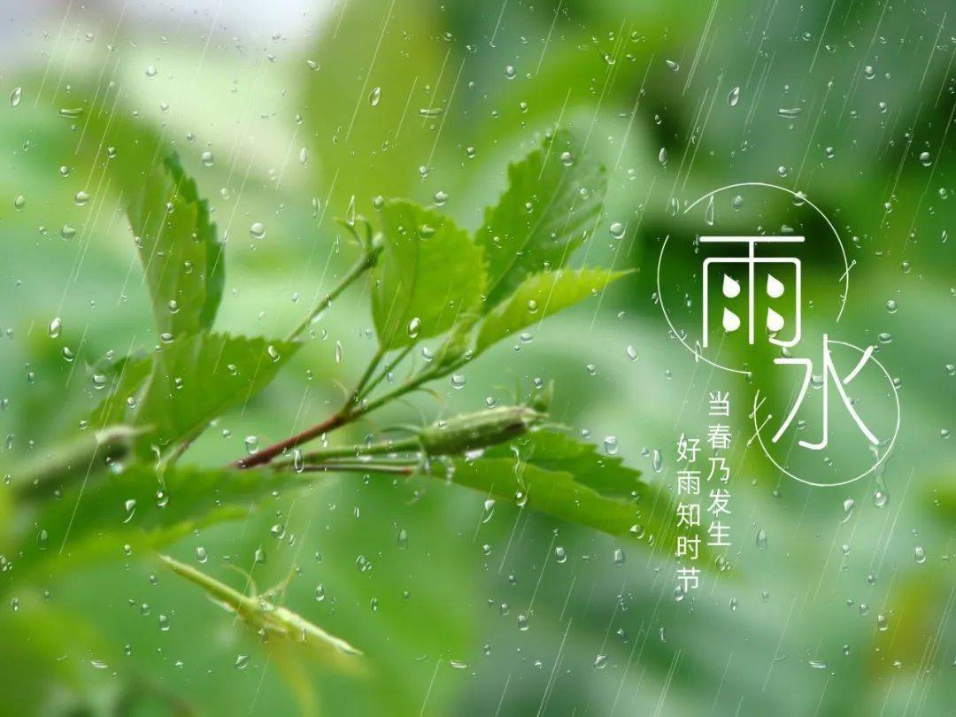 一天一首古诗词 | 雨水节气诗词,韦庄《谒金门·春雨足》