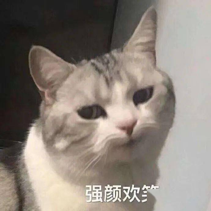 今天的表情包很可爱!错过要哭!