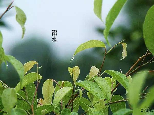 好雨知时节,当春乃发生;随风潜入夜,润物细无声._雨水