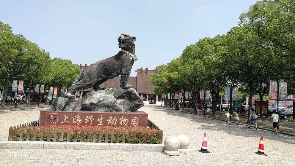 【调查】上海野生动物园饲养员被熊群攻击身亡,调查报告发布