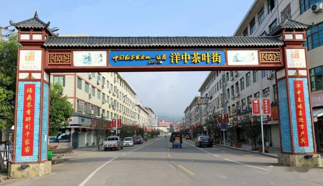 福鼎:走,趁着周末去白茶小镇"嗨"一把~_点头镇