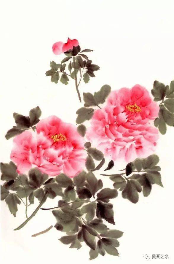 牡丹小写意画法示范