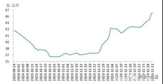 2021年全国生猪缺口或达8800万头?_价格