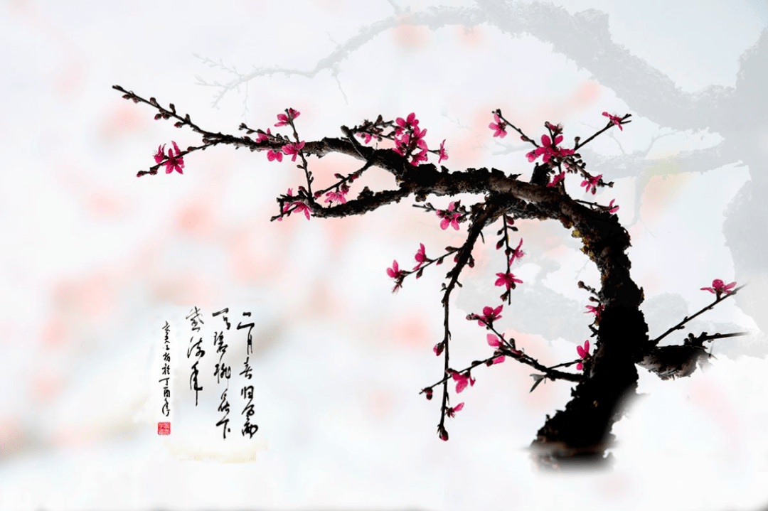 2.27/28号已成行【水墨连平】三月桃花红十里之上坪