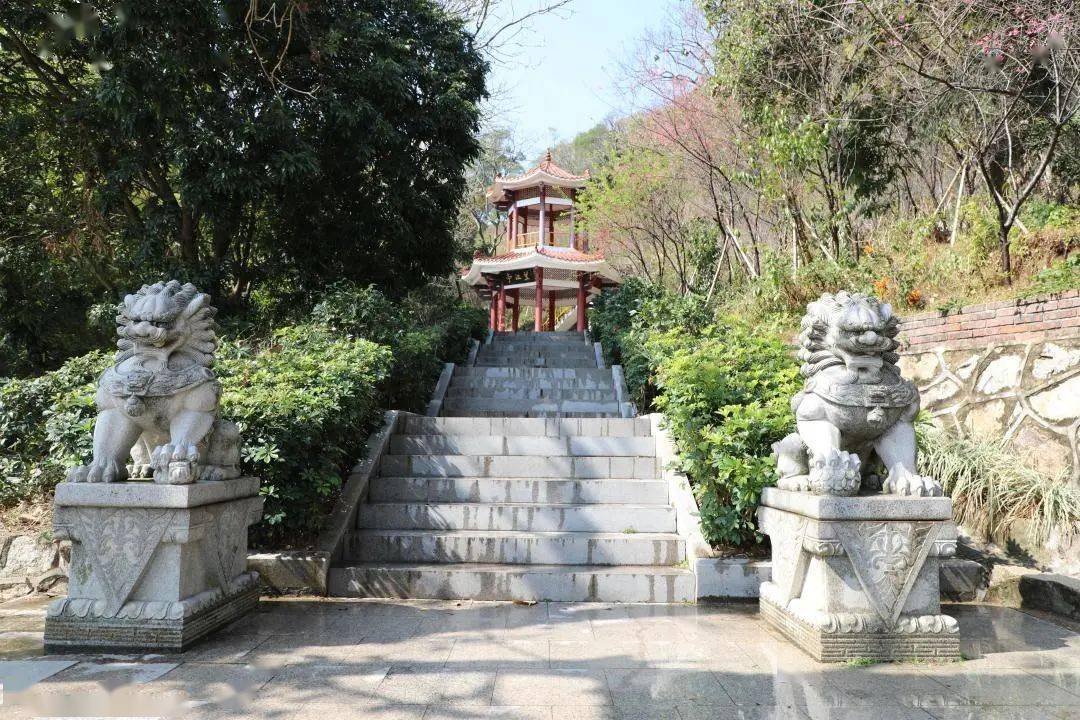 【龙海】又是一年樱花季,一起去紫云岩赏花呀