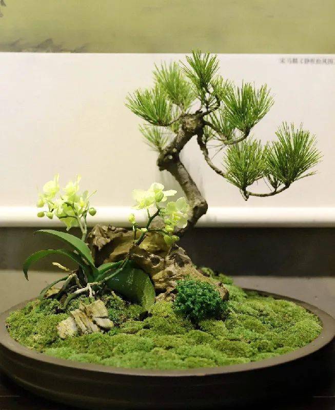 亚运 建设美丽杭州丨来胡雪岩故居,看看南宋人在临安的生活意趣~_盆栽