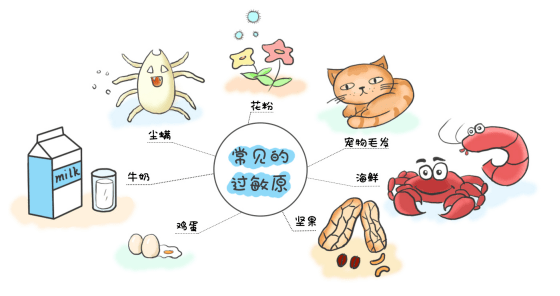 2, 花粉过敏