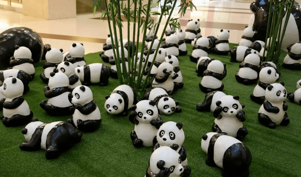 2021只国宝大熊猫空降南宁!
