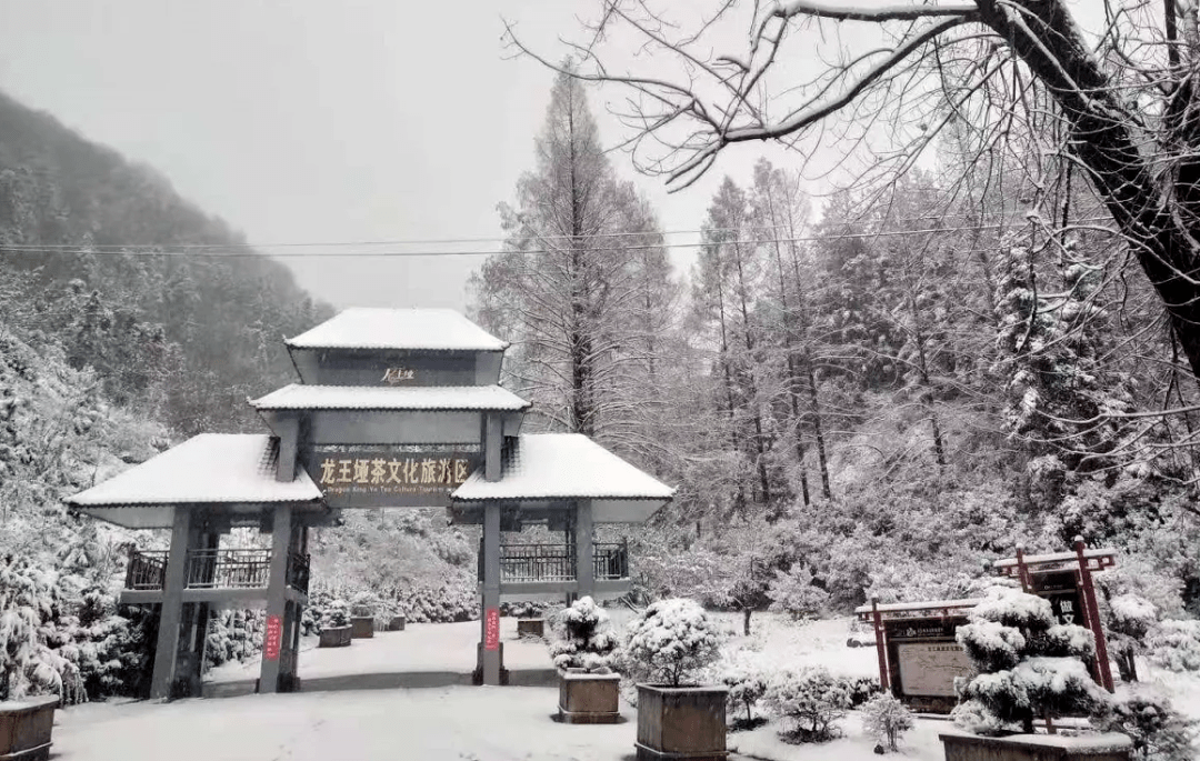 竹山县太和梅花谷