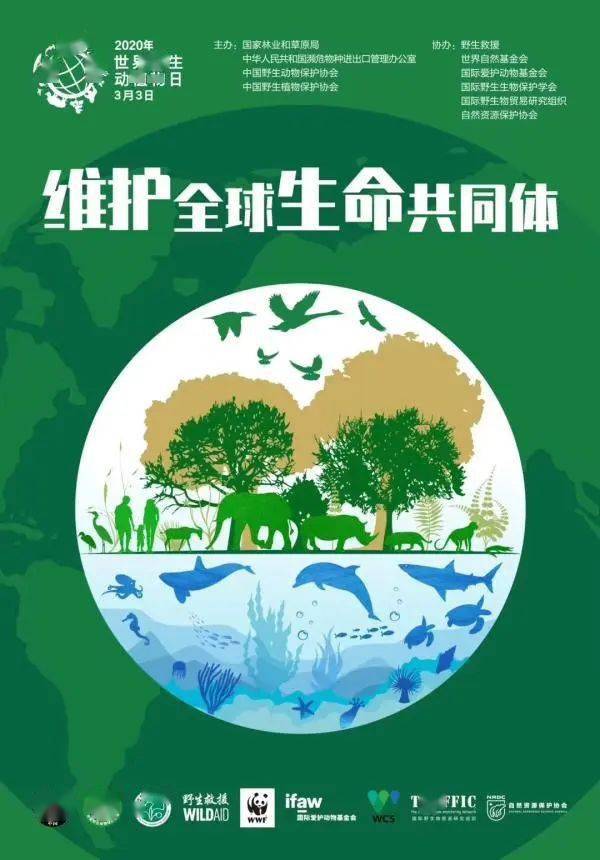 cites宣布2021年世界野生动植物日主题:"森林与生计:维持人类与地球"