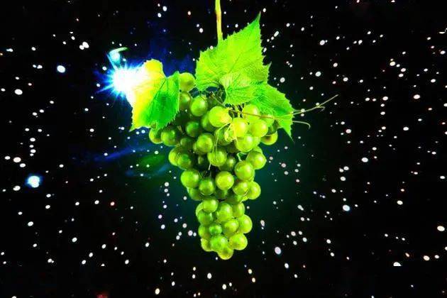 为了保证地球上的红酒供应科学家准备去太空种葡萄