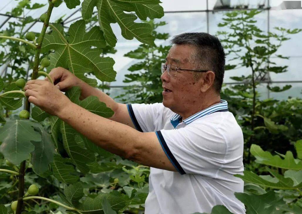 全国脱贫攻坚楷模荣誉称号获得者 赵亚夫