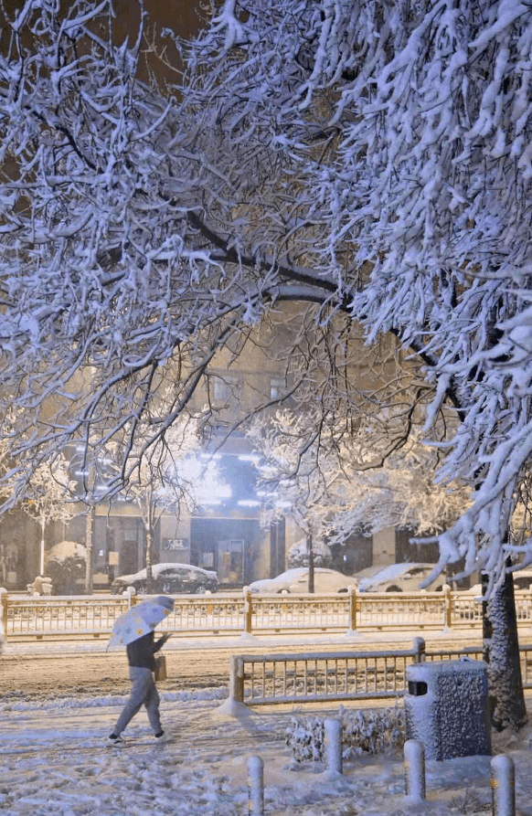 朋友圈里雪景美,"蓝朋友"们雪中忙