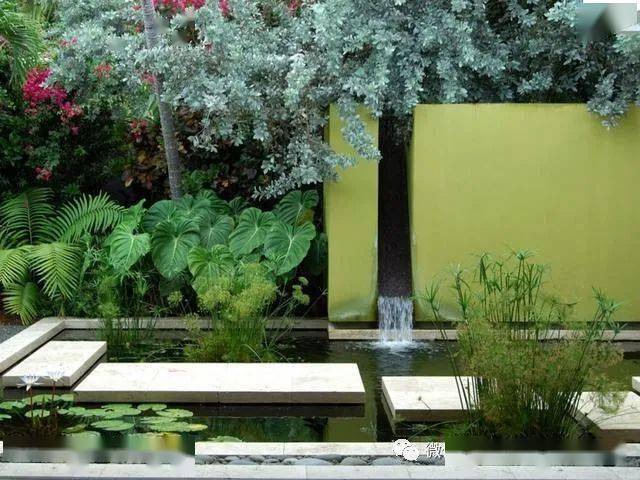 怎样建设露台池塘—既有现代化的感官,又能节省空间?_植物