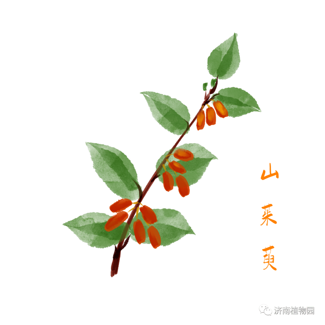 春暖花开,