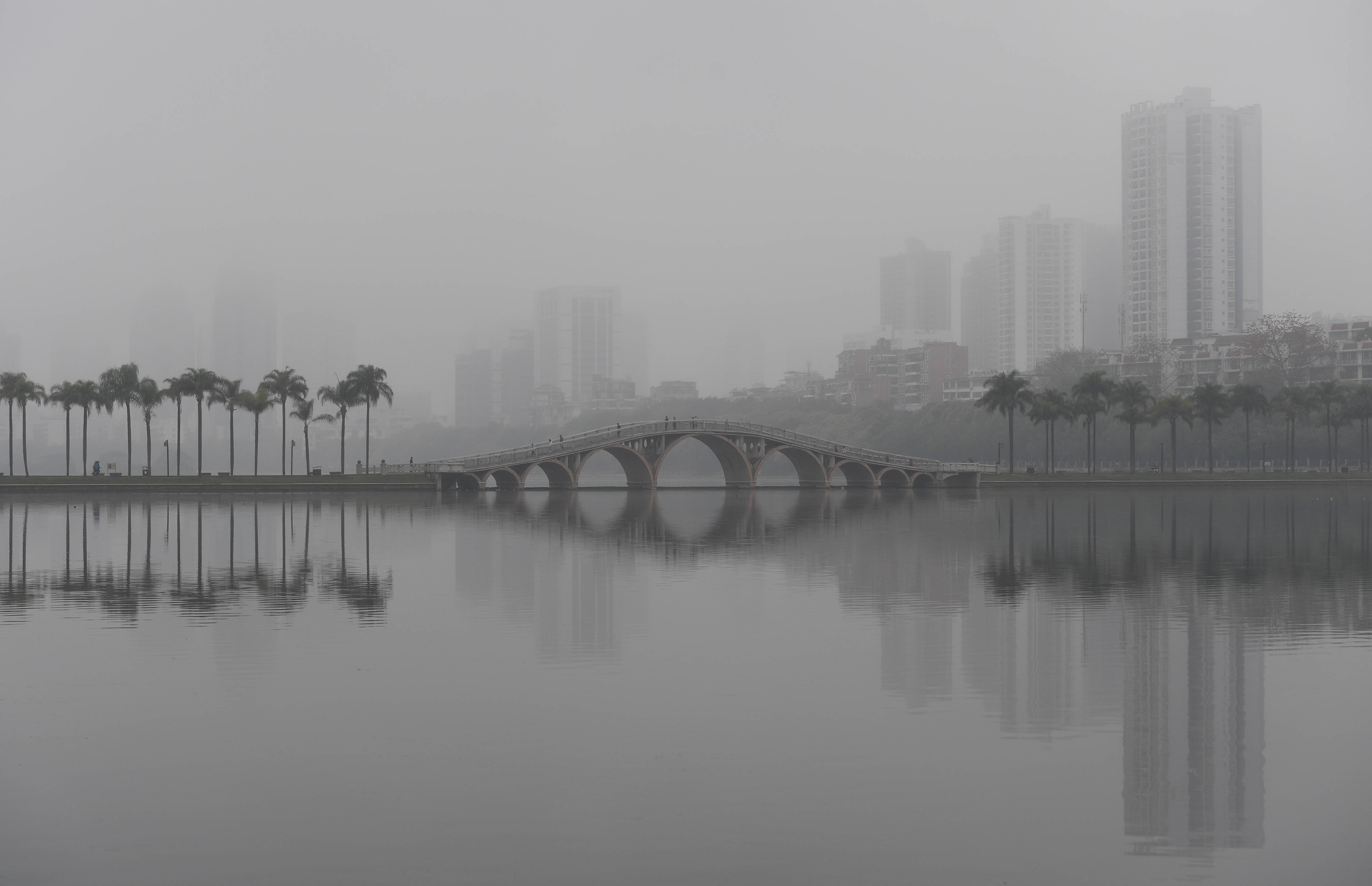 这是广西南宁市烟雨中的南湖景观(2月28日摄.