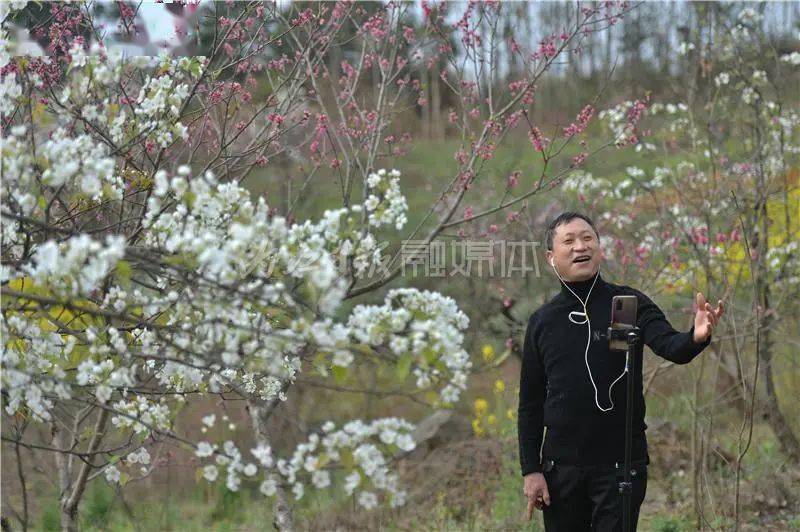 有我可爱的故乡"悠扬的歌声从花海里飞出,资中县太平镇高寺村村民