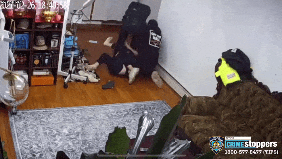 981_552gif 动态图 动图