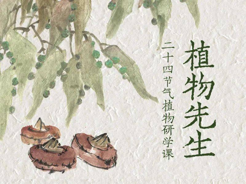 新书分享会·预告 | 当中国最美的书《植物先生》遇见西湖的春天