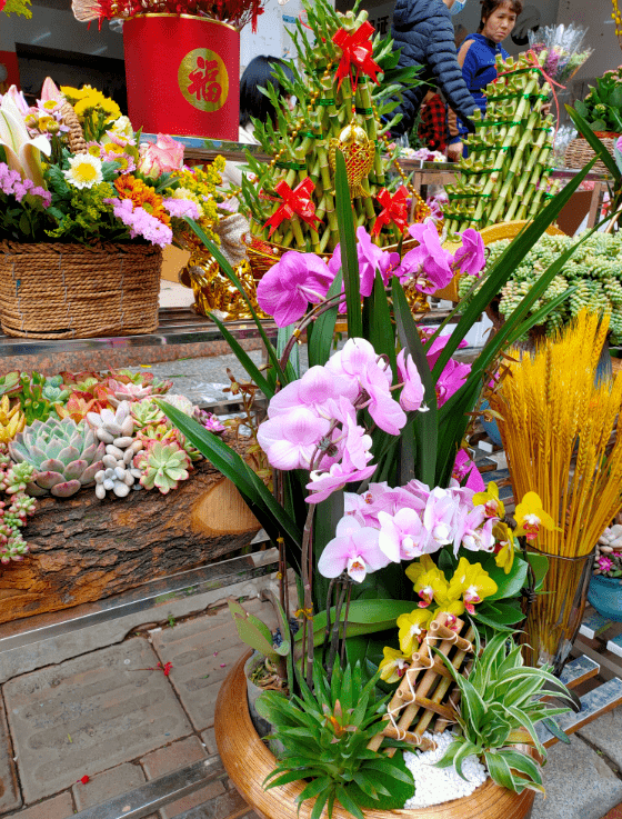 花街迎春:花渡头与行花街