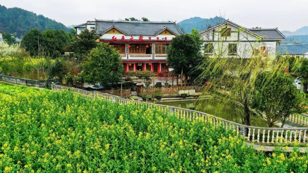 地点:枫香镇花茂村