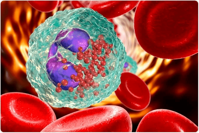 血常规提示嗜酸性粒细胞高需要怎么办什么时候提示严重